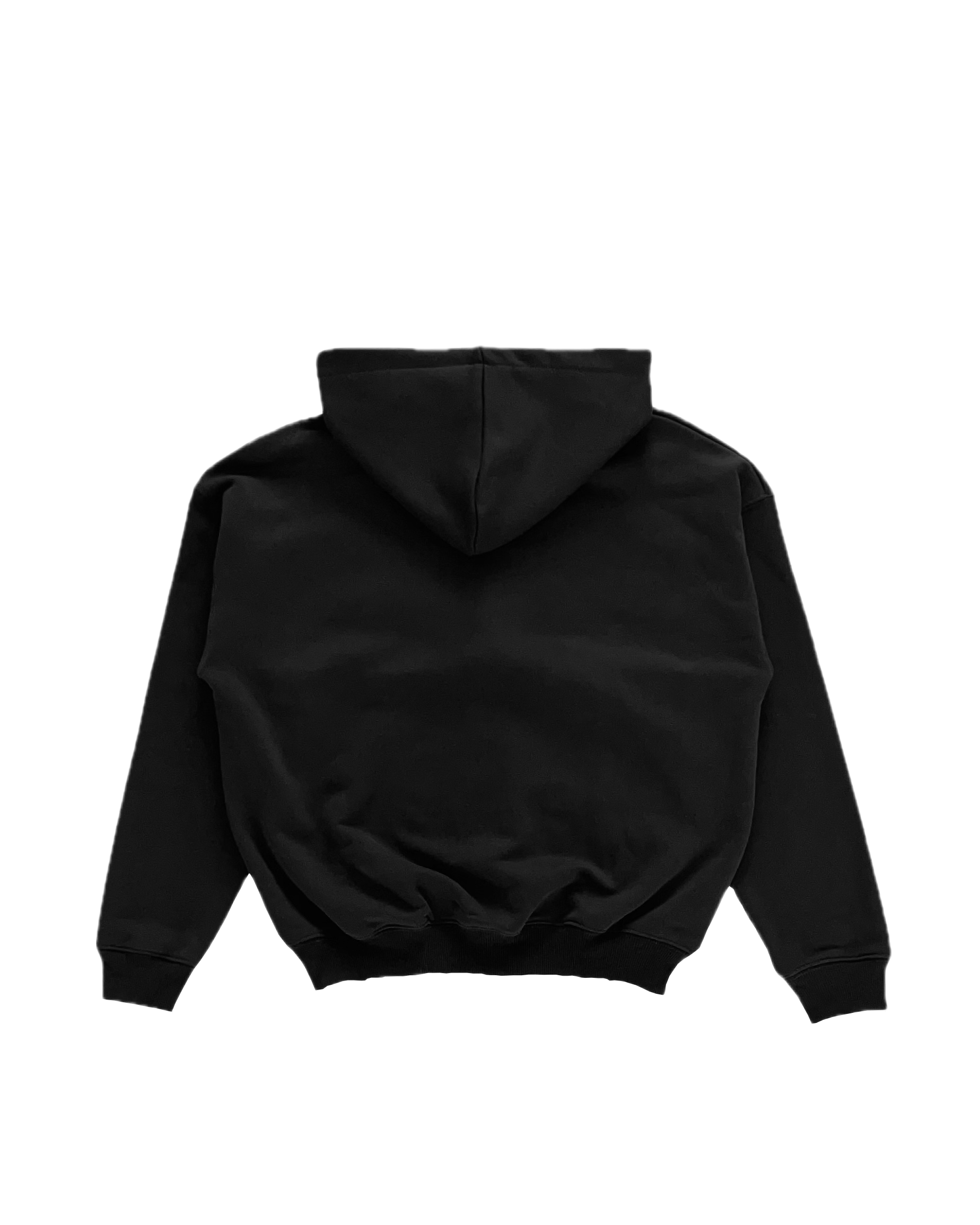 Adonissixteenth Zip Hoodie